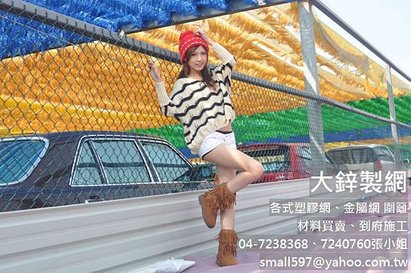 防蟲網,不銹鋼防蟲網,pvc 防蟲網,大鋅製網