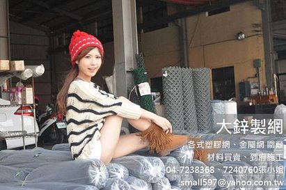 防蟲網,不銹鋼防蟲網,pvc 防蟲網,大鋅製網