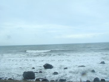 DSC07800.JPG