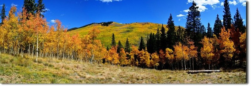 A panoramic view from Kenosha Pass  (6)