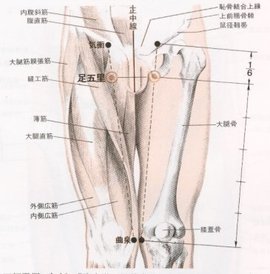 足五里穴.jpg