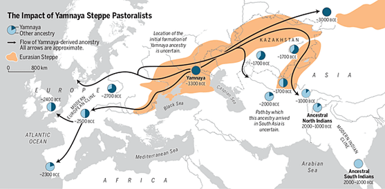 馬是何時何地被人類馴化的？古代馬 DNA 揭秘：4200 年