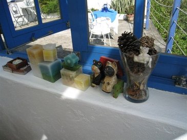 IMG_1455.jpg