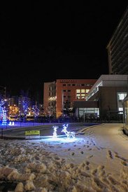 SAM_4277-1.jpg