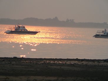 P1000469.JPG