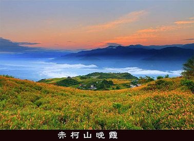 雲彩赤科山金針花.jpg
