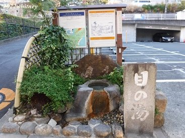 箱根跨年309.JPG