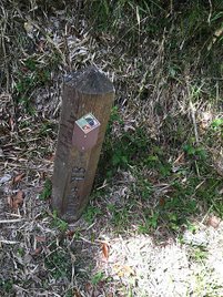 IMG_0741.jpg