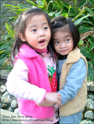 DSCF01769.gif