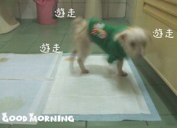 DSCF1373.JPG