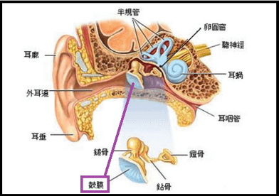 未命名.png