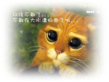 排水溝抓魚