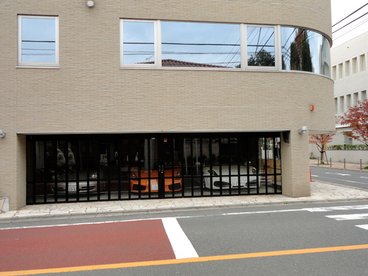 DSC01533.JPG