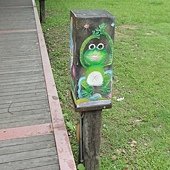 青蛙燈罩.JPG