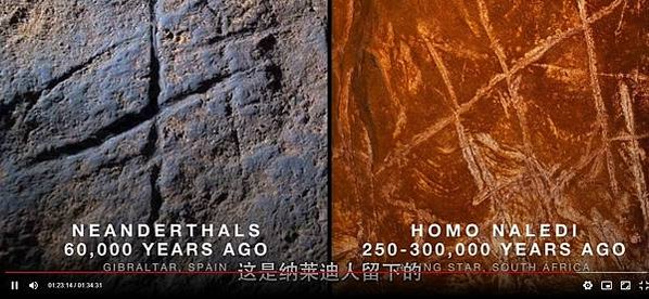 納萊迪人Homo naledi已經滅絕的人科物種「埋葬遺體」