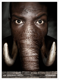 1.spare parts_Elephant.png