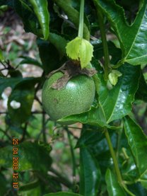 DSCN6358.JPG