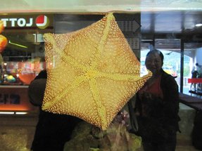 宜蘭南方澳 (3).jpg
