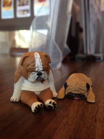 IMG_9356.jpg