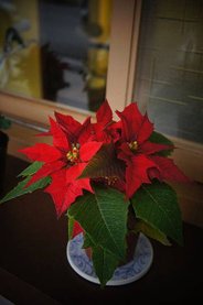 DSC01540