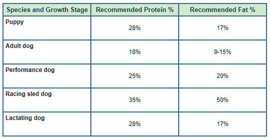 成犬所需飼料蛋白質脂肪比例