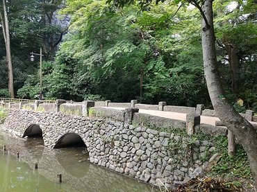 p152749408383.jpg