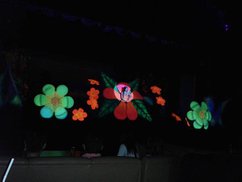 2011-10-29 21.15.35.jpg