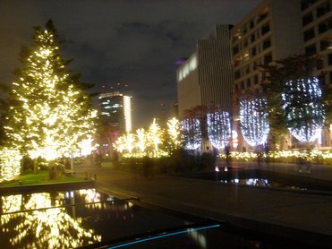 DSC03844.JPG
