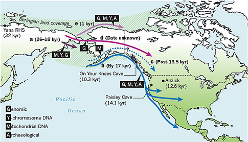 Populating a continent