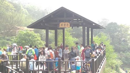IMAG6812.jpg