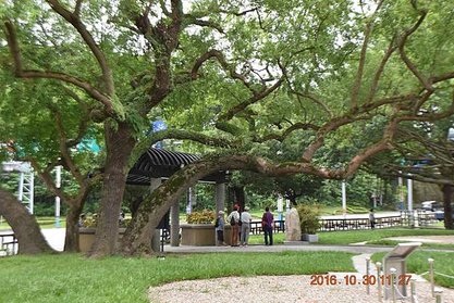 2016-10-30  圓山新村故地   030.JPG
