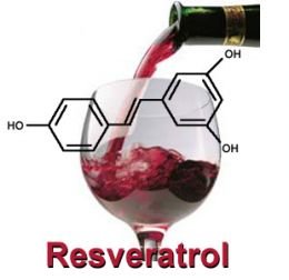 resveratrol-red-wine.jpg