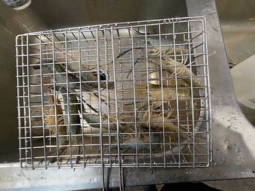 LINE_ALBUM_20230325-27礁溪_230326_16.jpg