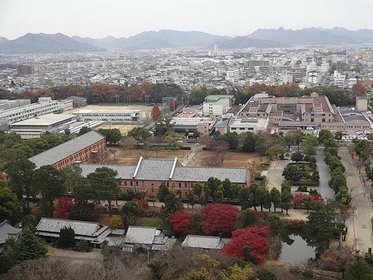 p145602870291.jpg