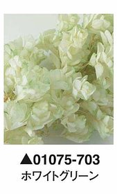 大地農園01075-703_繡球花哪裡買_繡球花介紹_永生花專賣_永生花推薦_愛意花坊-2022.jpg