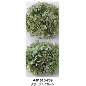 大地農園01510-709_繡球花哪裡買_繡球花介紹_永生花專賣_永生花推薦_愛意花坊-2022.jpg
