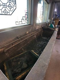 S__60678194.jpg