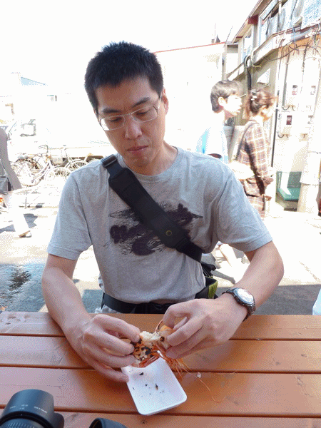 蝦卵發現.gif
