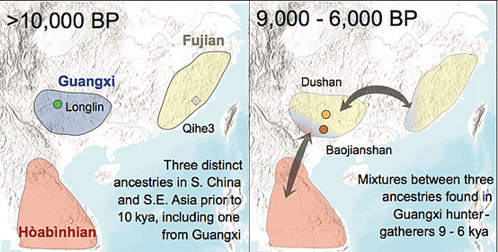 廣西遺傳史，失落的上古血脈