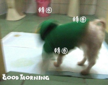 DSCF1378.JPG