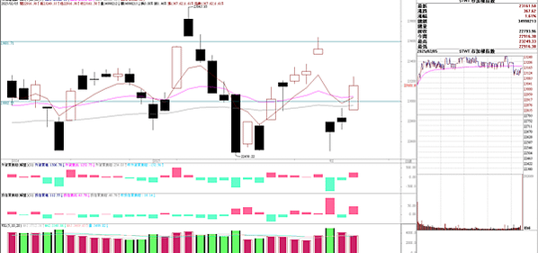 選擇權  20250206看盤日記   台股報復性上漲