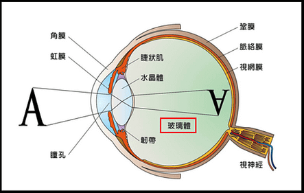 未命名.png