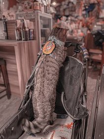 4D04FA8C-0549-44C2-AD63-B72E9704B09A.jpeg