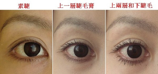 睫毛膏.jpg