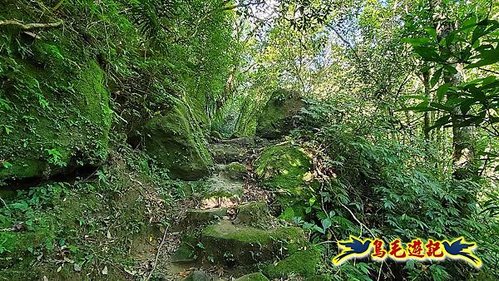 石碇摸乳巷古道溪邊寮山西帽子岩出山羊洞步道口 (7).jpg