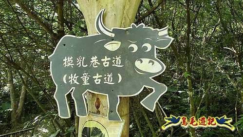 石碇摸乳巷古道溪邊寮山西帽子岩出山羊洞步道口 (3).jpg