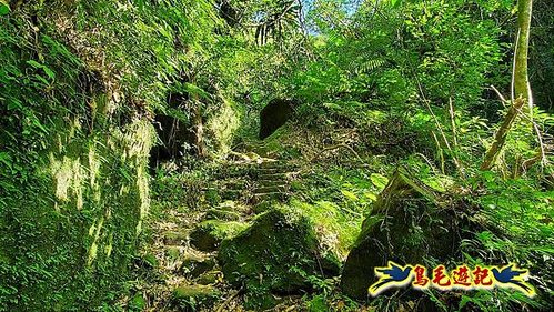 石碇摸乳巷古道溪邊寮山西帽子岩出山羊洞步道口 (4).jpg