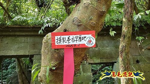 石碇摸乳巷古道溪邊寮山西帽子岩出山羊洞步道口 (10).jpg