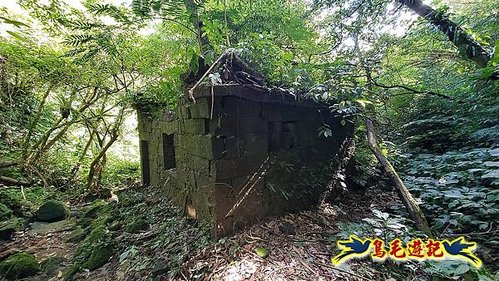 石碇摸乳巷古道溪邊寮山西帽子岩出山羊洞步道口 (11).jpg