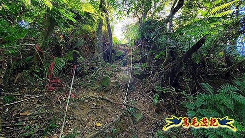 石碇摸乳巷古道溪邊寮山西帽子岩出山羊洞步道口 (17).jpg